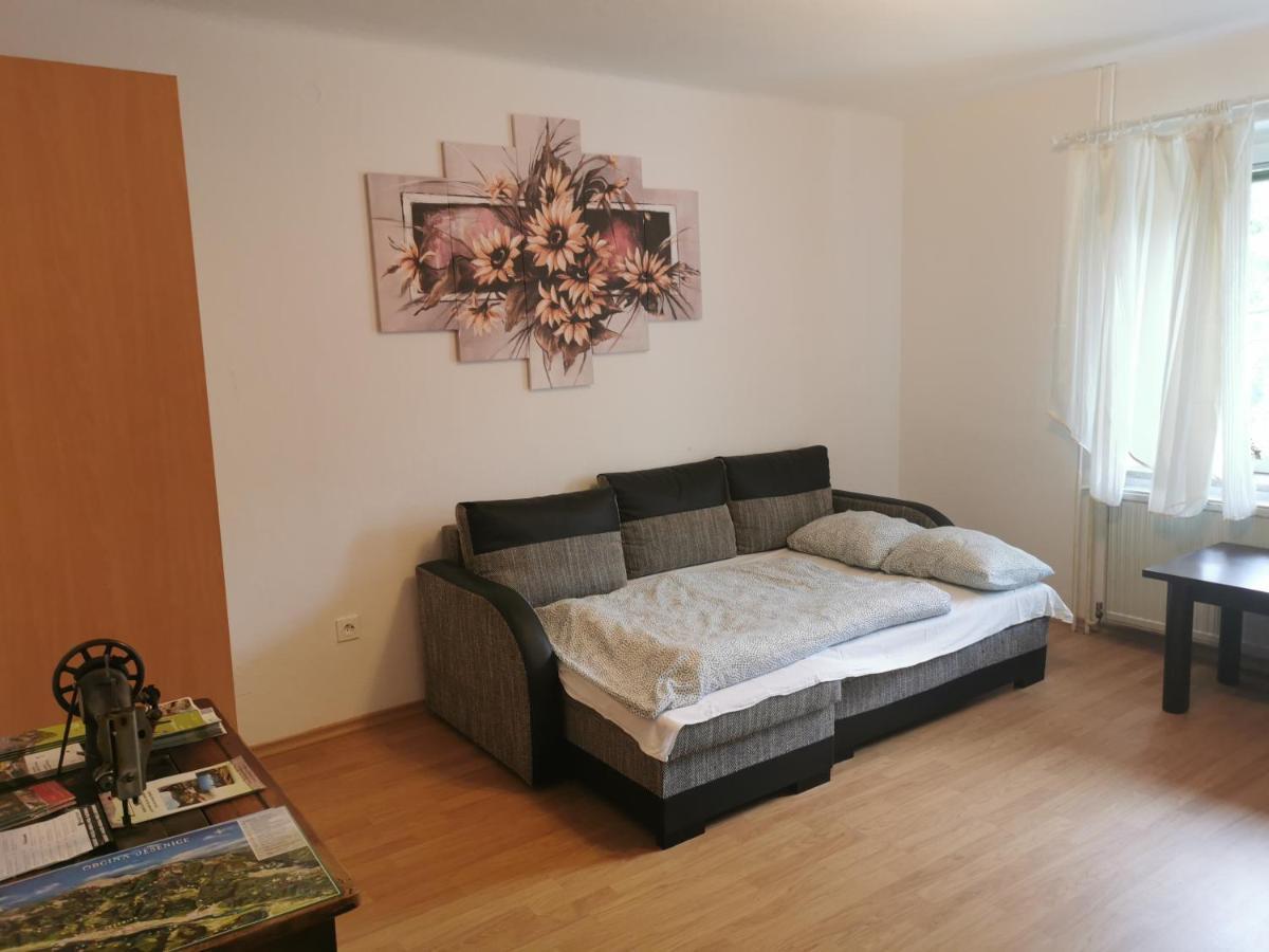 Apartma Rekar - A House, Where You Can Relax In The Embrace Of Nature Єсеніце Екстер'єр фото
